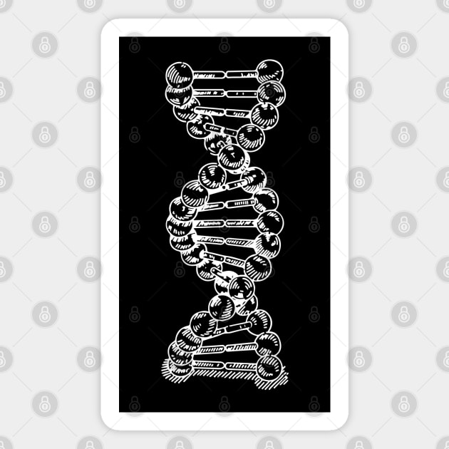 DNA Strand Helix Genetics Life Sciences Biology White Magnet by RetroGeek